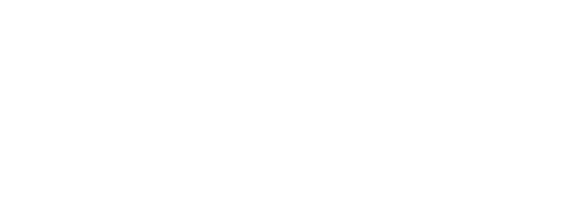 VerificaBets